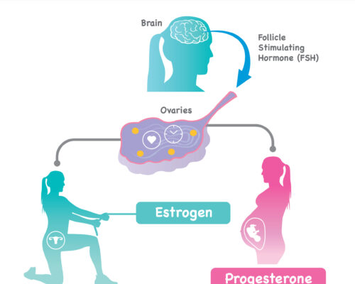 Cause of Male Thinning Hair. Illustration for explain problem male thinner hair cause from sensitivities androgen cells receptors Cause of Male Thinning Hair. Illustration for explain problem male thinner hair cause from sensitivities androgen cells receptors