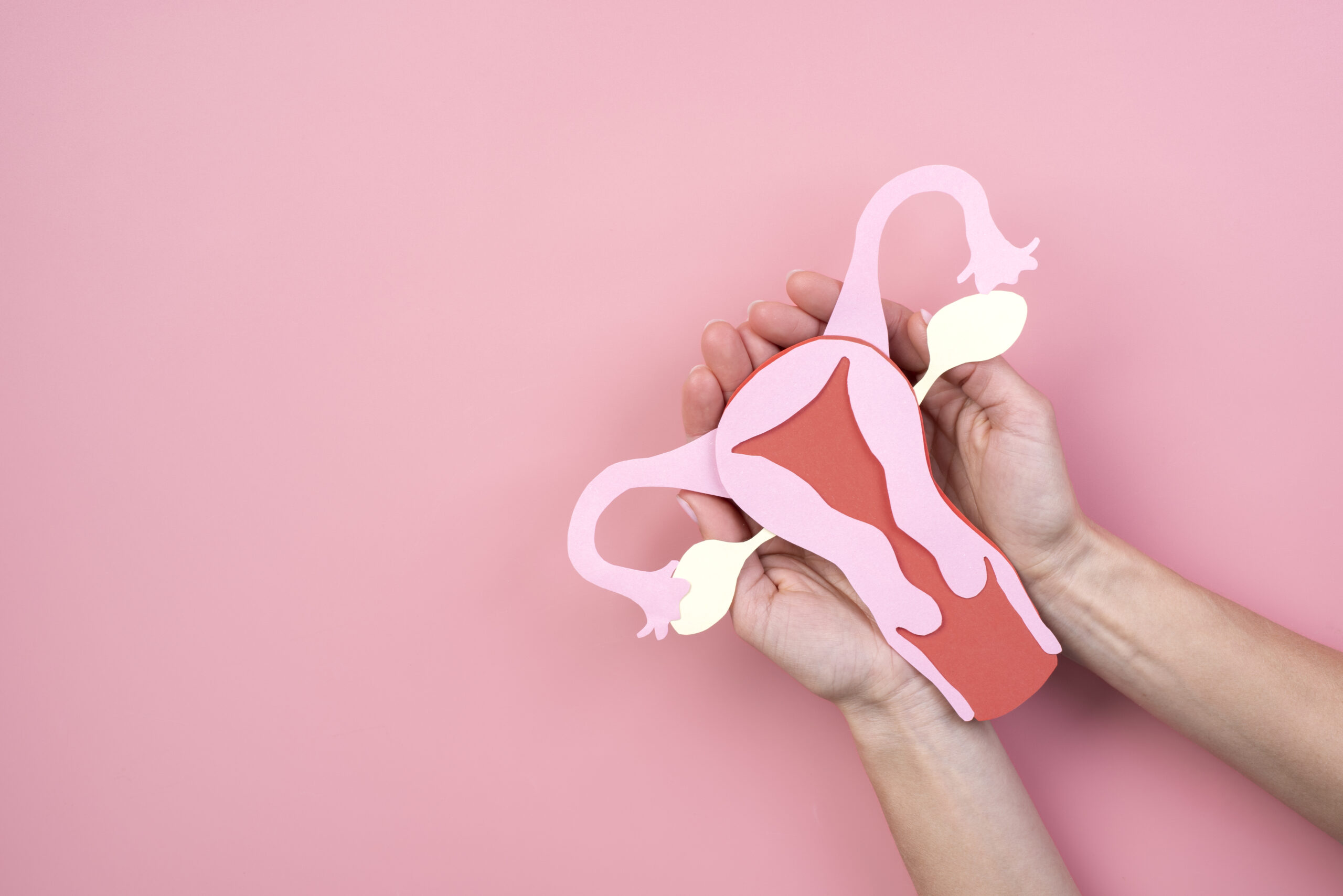Menstrual Hygiene